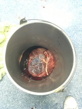 Een intacte placenta